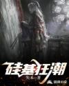 硅基狂潮讲了什么